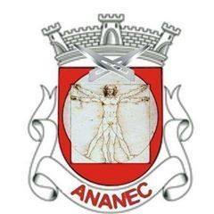 Parceiro 1
